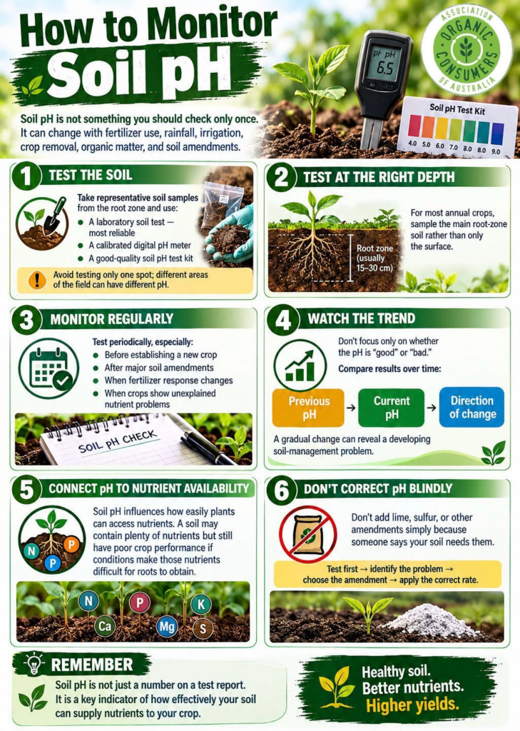 HOW TO MONITOR SOIL pH FOR A HEALTHIER ORGANIC GARDEN